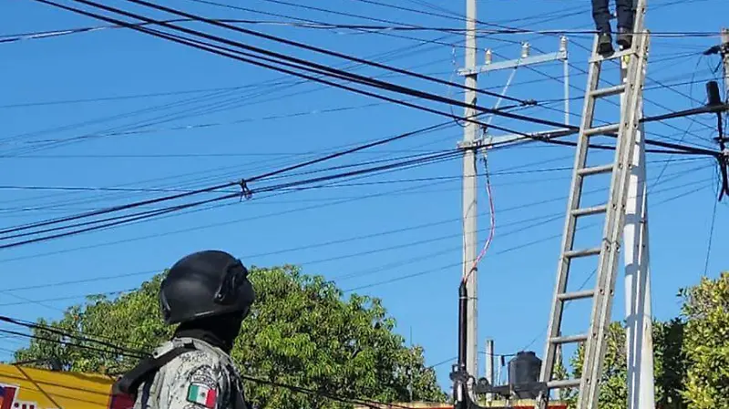 camaras de vigilancia no oficiales